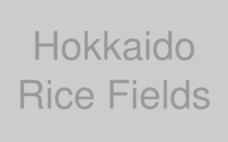 北海道の田園風景