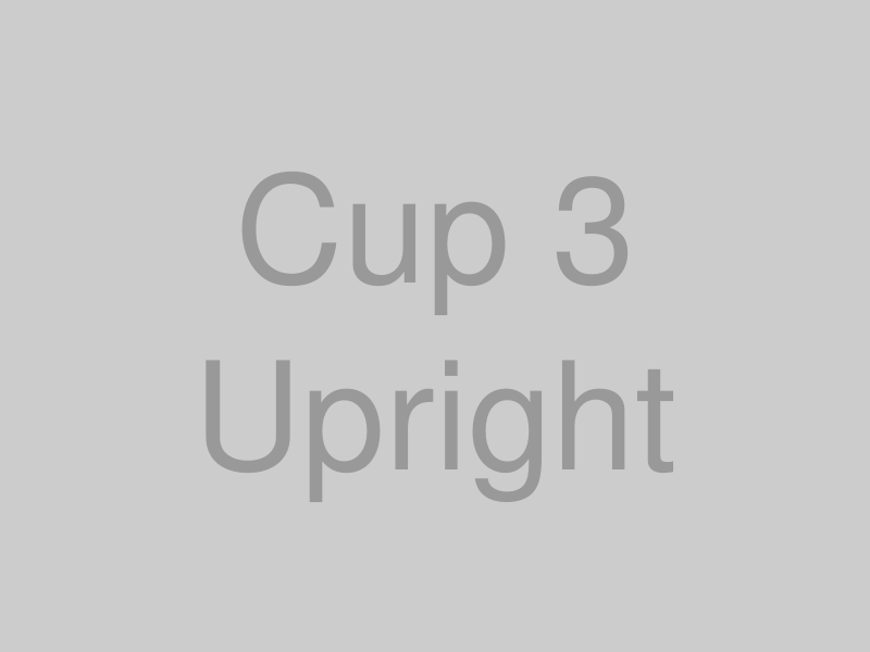 カップの3 正位置