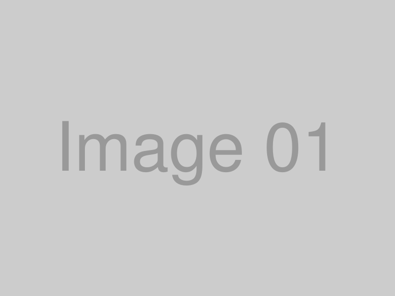 豊富な商品ラインナップ