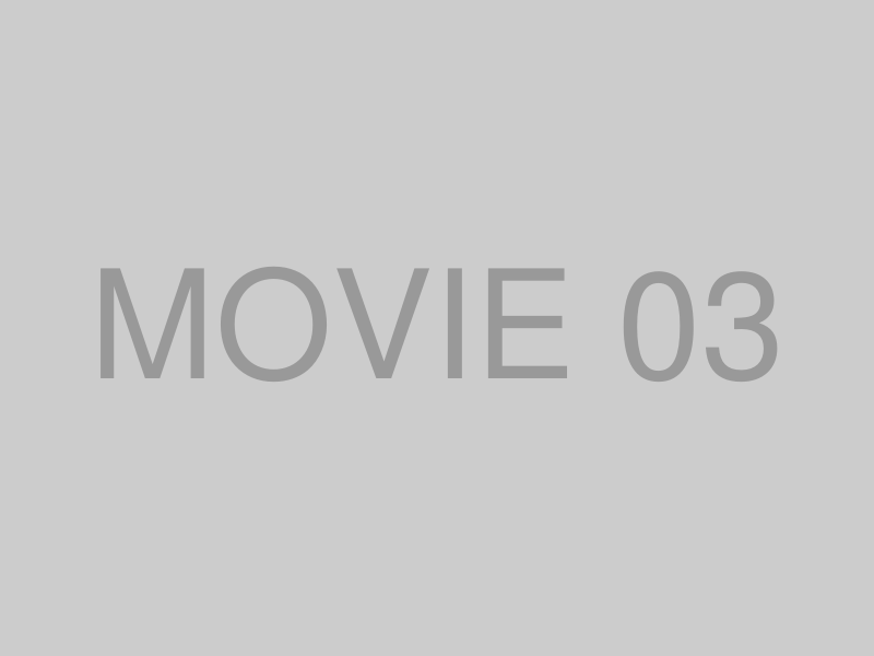 動画実績3