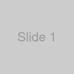 Slide 1