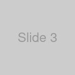 Slide 3