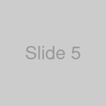 Slide 5