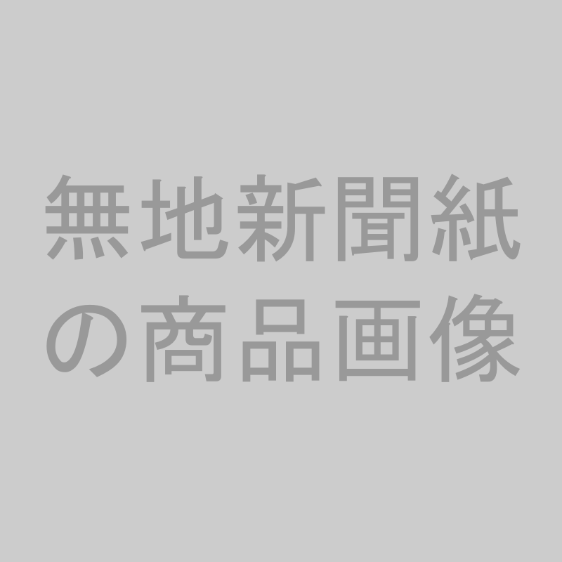 KAMIOL SHOPで販売する無地新聞紙