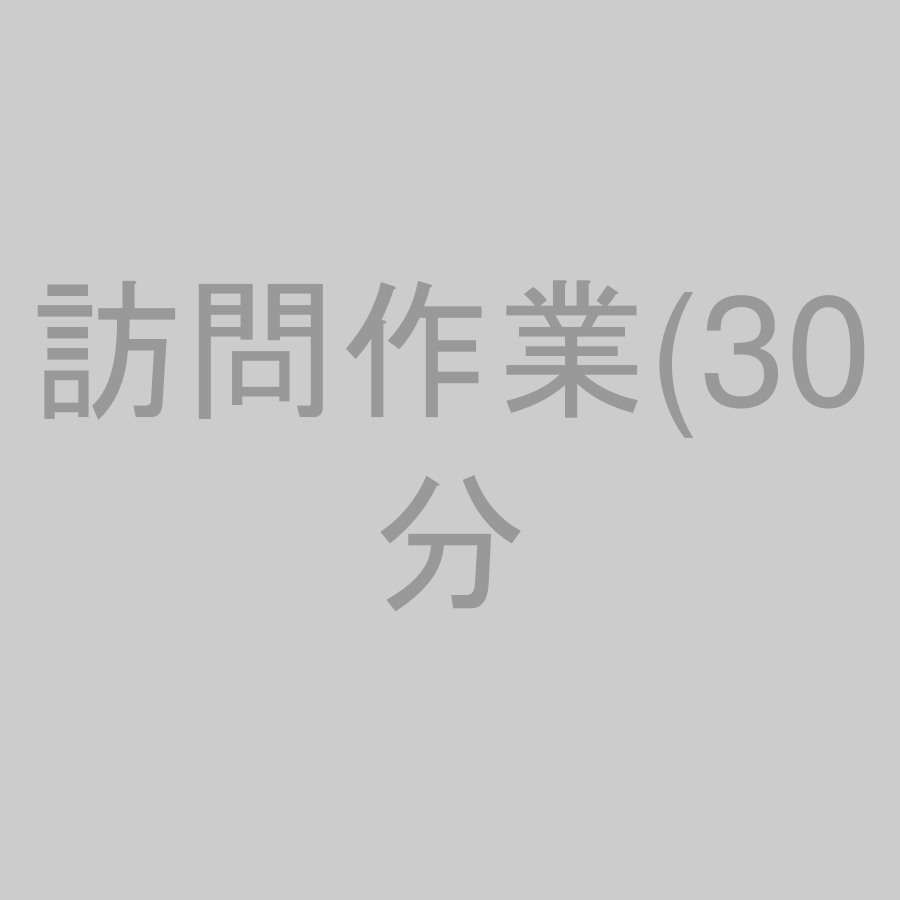 訪問作業(30分)(出張料金別途)(要予約)