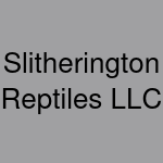 Slitherington Reptiles LLC