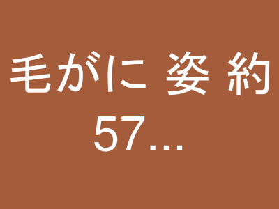 毛がに 姿 約570g×2尾（ボイル冷凍）