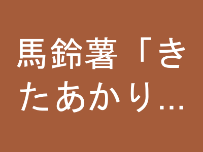 馬鈴薯「きたあかり」10kg