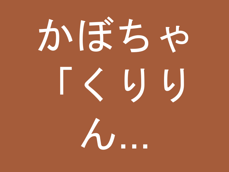かぼちゃ「くりりん」6kg（3〜5玉）