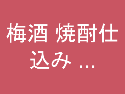 梅酒 焼酎仕込み 1800ml