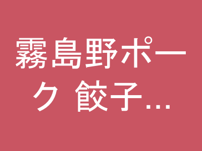 霧島野ポーク 餃子 100個（20個×5）