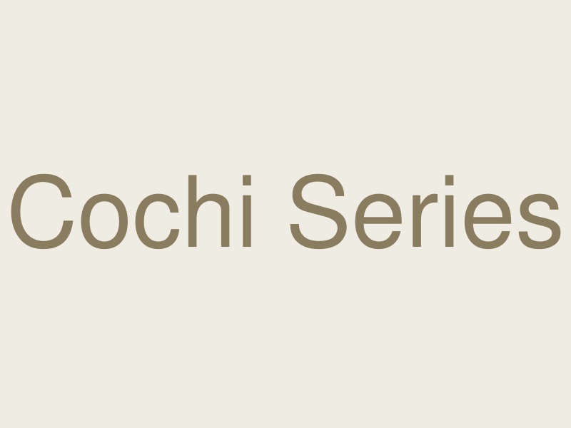 REAL Style Cochi（コチ）シリーズ