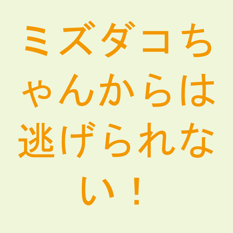 ミズダコちゃんからは逃げられない！